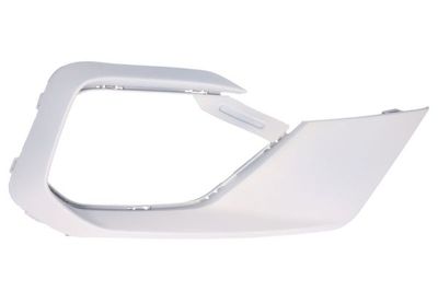Ventilation Grilles, bumper BLIC 6502-07-2567994P
