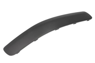 Trim/Protection Strip, bumper BLIC 6502-07-3127922P
