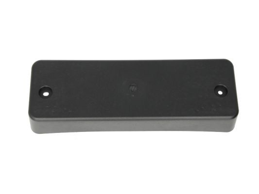 BLIC 6502-07-3181920P Licence Plate Holder