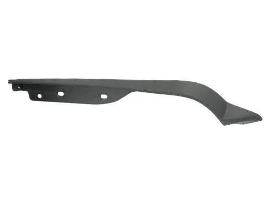 BLIC 6502-07-3181971P Trim/Protection Strip, bumper