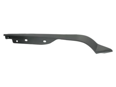 Trim/Protection Strip, bumper BLIC 6502-07-3181971P