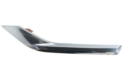 Trim/Protection Strip, bumper BLIC 6502-07-3184971CP