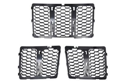Radiator Grille BLIC 6502-07-3206992CP