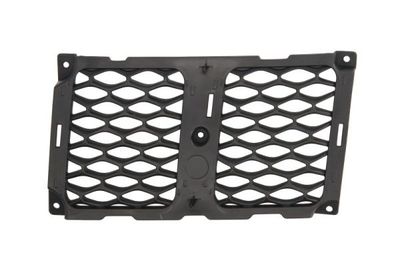Radiator Grille BLIC 6502-07-3207993P