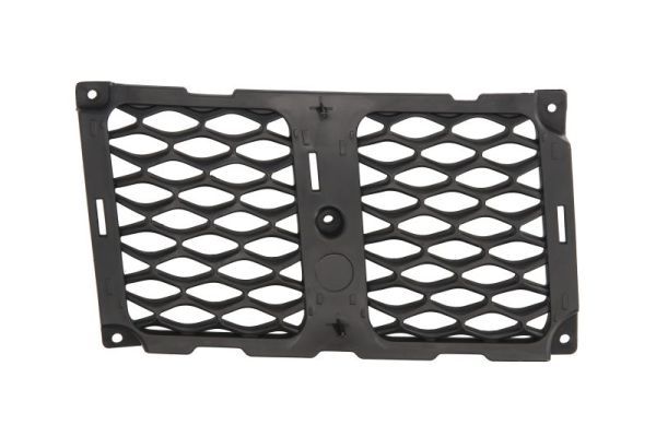 BLIC 6502-07-3207994P Radiator Grille