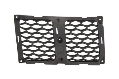 Radiator Grille BLIC 6502-07-3207994P