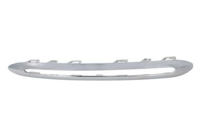 Trim/Protection Strip, radiator grille BLIC 6502-07-3509924P