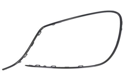 Trim/Protection Strip, bumper BLIC 6502-07-3510924P