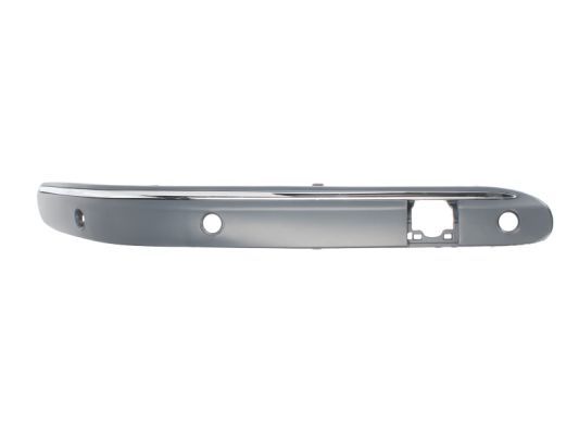 BLIC 6502-07-3515924P Trim/Protection Strip, bumper