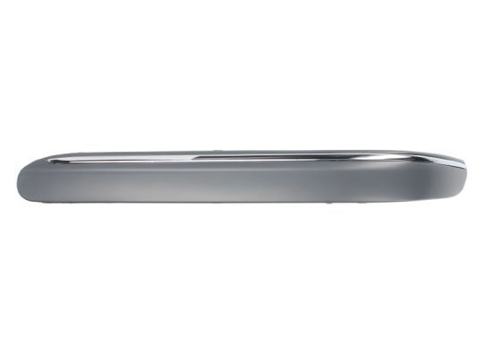 BLIC 6502-07-3515927P Trim/Protection Strip, bumper