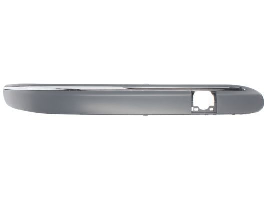 BLIC 6502-07-3515928P Trim/Protection Strip, bumper