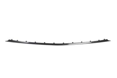 Trim/Protection Strip, bumper BLIC 6502-07-35289141P