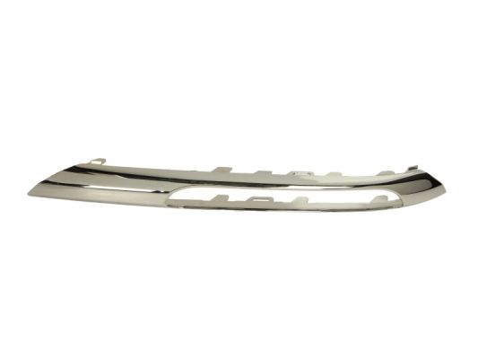 BLIC 6502-07-3529921P Trim/Protection Strip, bumper