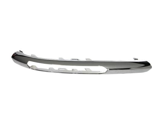 BLIC 6502-07-3529923P Trim/Protection Strip, bumper