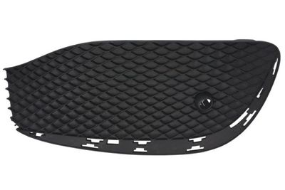 Ventilation Grilles, bumper BLIC 6502-07-3531994LP