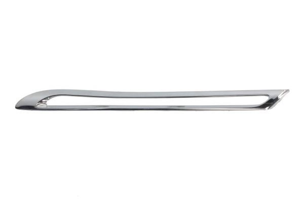 BLIC 6502-07-3533993P Trim/Protection Strip, radiator grille
