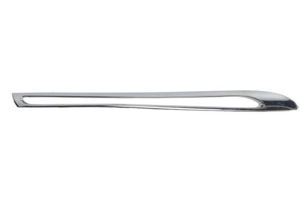 BLIC 6502-07-3533994P Trim/Protection Strip, radiator grille