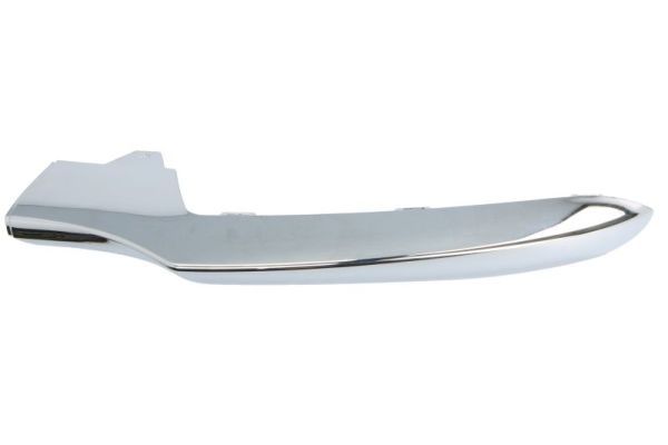 BLIC 6502-07-3536926P Trim/Protection Strip, bumper
