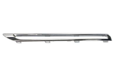 Trim/Protection Strip, radiator grille BLIC 6502-07-3536994P