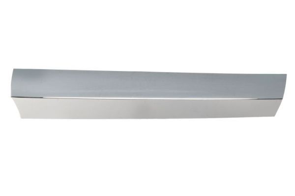 BLIC 6502-07-3547991CP Trim/Protection Strip, radiator grille