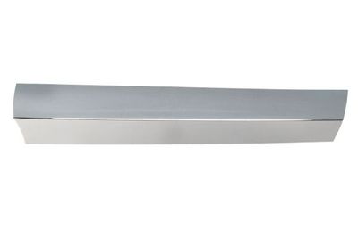 Trim/Protection Strip, radiator grille BLIC 6502-07-3547991CP