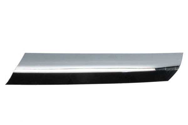 BLIC 6502-07-3547993CP Trim/Protection Strip, radiator grille