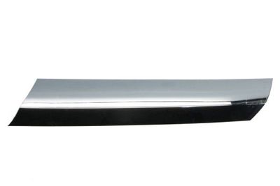 Trim/Protection Strip, radiator grille BLIC 6502-07-3547993CP