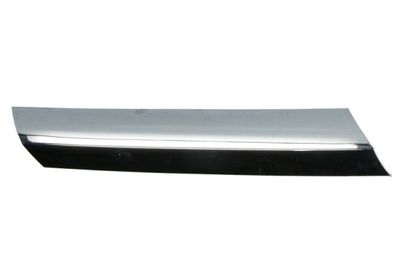 Trim/Protection Strip, radiator grille BLIC 6502-07-3547994CP