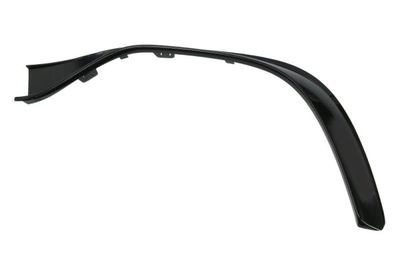 Trim/Protection Strip, bumper BLIC 6502-07-3555923P