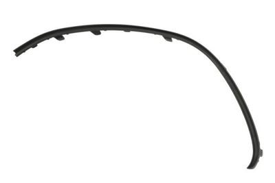Trim/Protection Strip, bumper BLIC 6502-07-3556921P