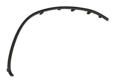 Trim/Protection Strip, bumper BLIC 6502-07-3556922P