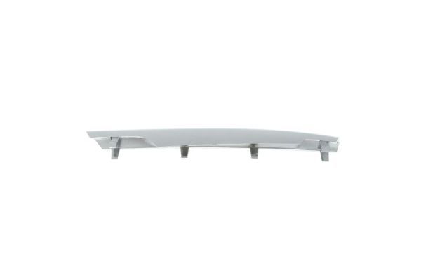 BLIC 6502-07-3580913P Trim/Protection Strip, bumper