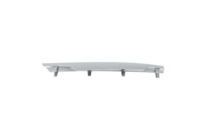 Trim/Protection Strip, bumper BLIC 6502-07-3580913P