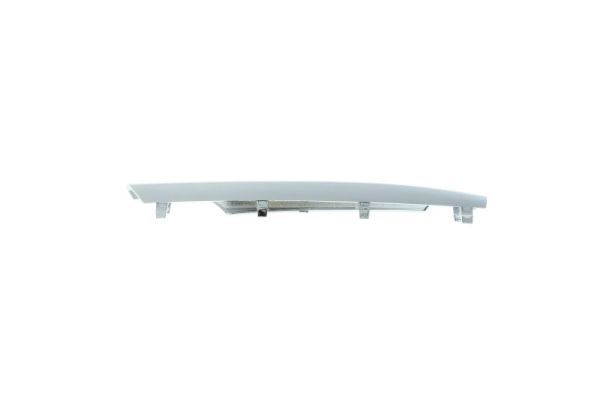 BLIC 6502-07-3580914P Trim/Protection Strip, bumper