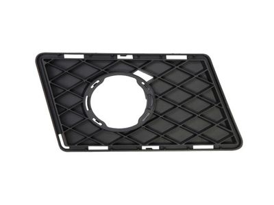 Ventilation Grilles, bumper BLIC 6502-07-3580916P