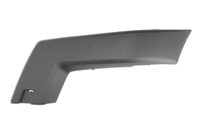 Trim/Protection Strip, bumper BLIC 6502-07-3580921P