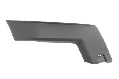 Trim/Protection Strip, bumper BLIC 6502-07-3580922P