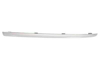 Trim/Protection Strip, radiator grille BLIC 6502-07-3583991P