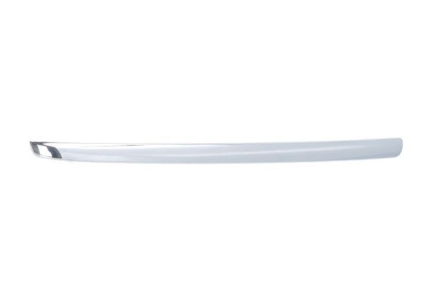 BLIC 6502-07-3583992P Trim/Protection Strip, radiator grille