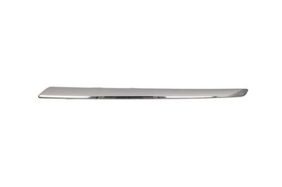 Trim/Protection Strip, radiator grille BLIC 6502-07-3583993P