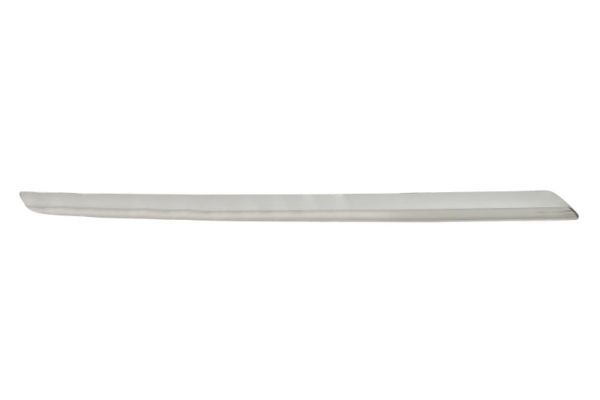 BLIC 6502-07-3583994P Trim/Protection Strip, radiator grille