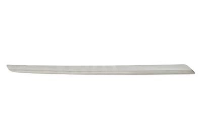 Trim/Protection Strip, radiator grille BLIC 6502-07-3583994P