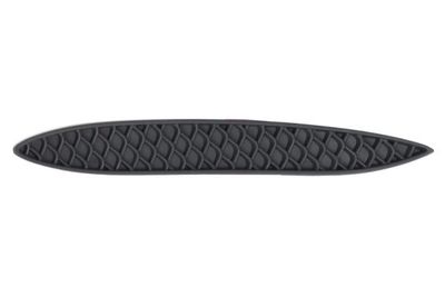 Trim/Protection Strip, bumper BLIC 6502-07-3585921P