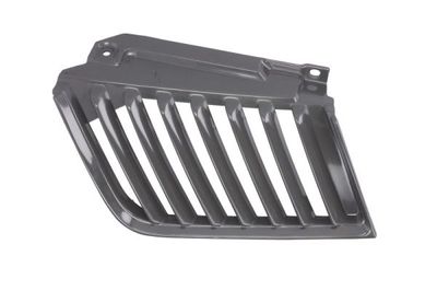 Radiator Grille BLIC 6502-07-3783993P