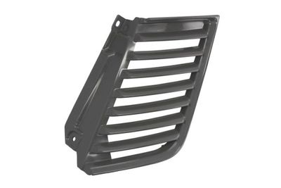 Radiator Grille BLIC 6502-07-3783995P
