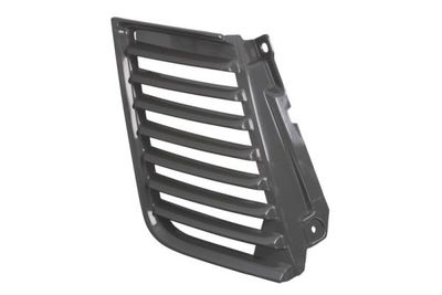 Radiator Grille BLIC 6502-07-3783996P