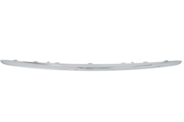 BLIC 6502-07-4001915P Trim/Protection Strip, bumper