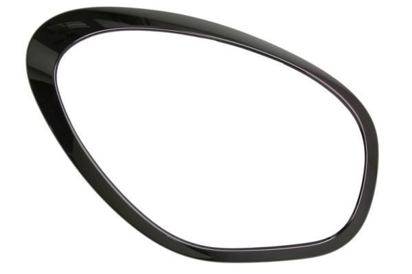 BLIC 6502-07-4003994P Frame, headlight