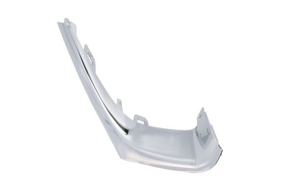 BLIC 6502-07-5025916Q Trim/Protection Strip, bumper