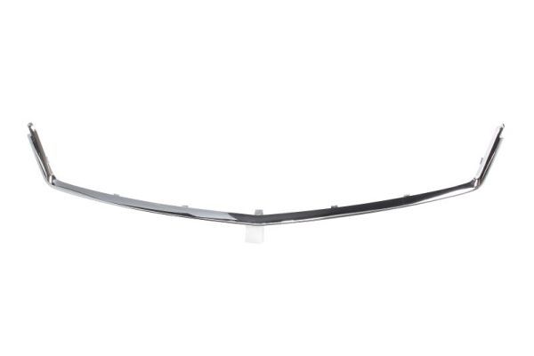 BLIC 6502-07-5052995PP Trim/Protection Strip, radiator grille